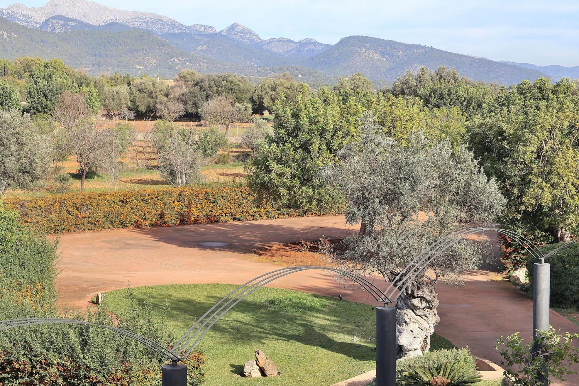 151 Villa Es Triquet Et3366 By Mallorca Charme 比尼萨勒姆 外观 照片