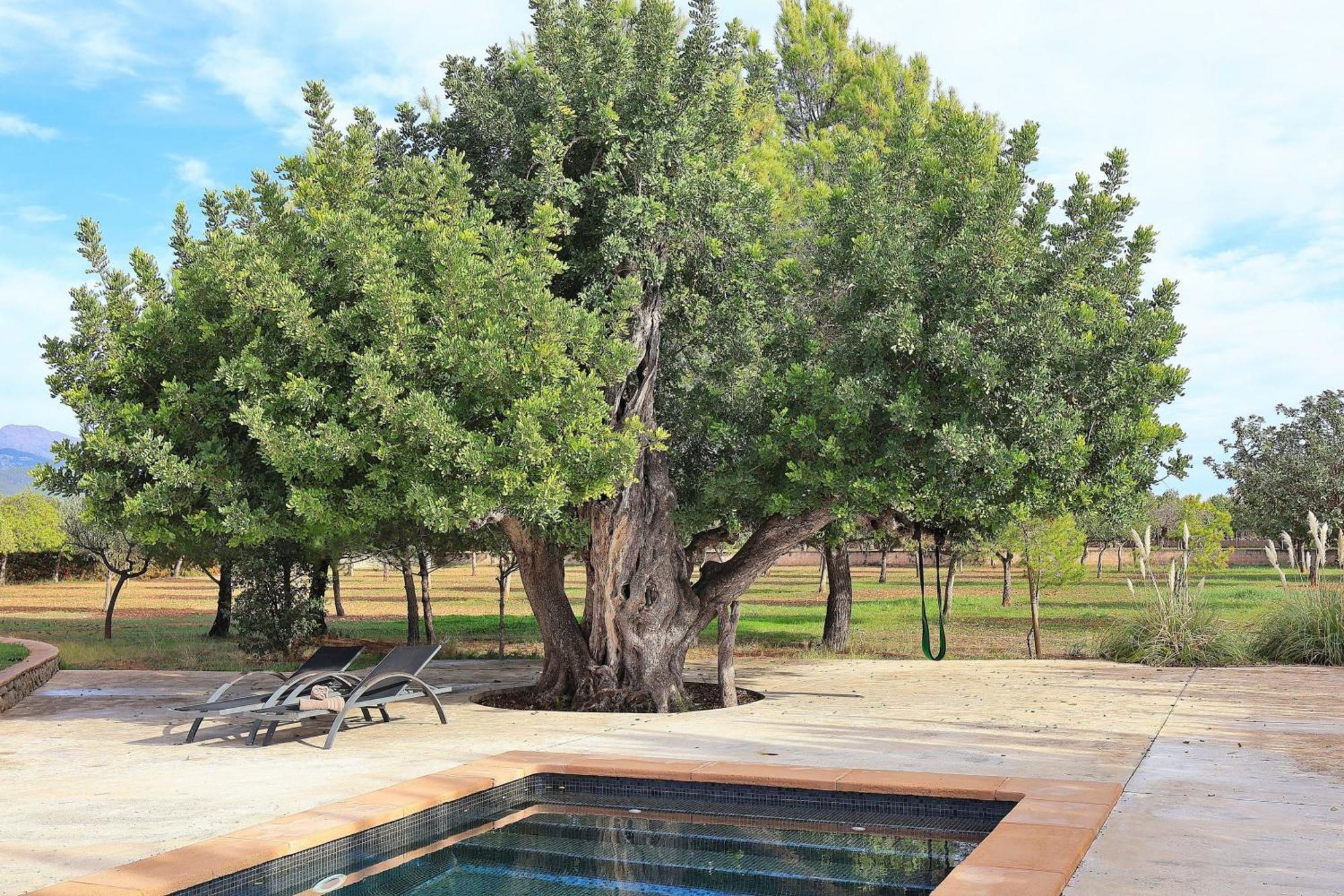 151 Villa Es Triquet Et3366 By Mallorca Charme 比尼萨勒姆 外观 照片